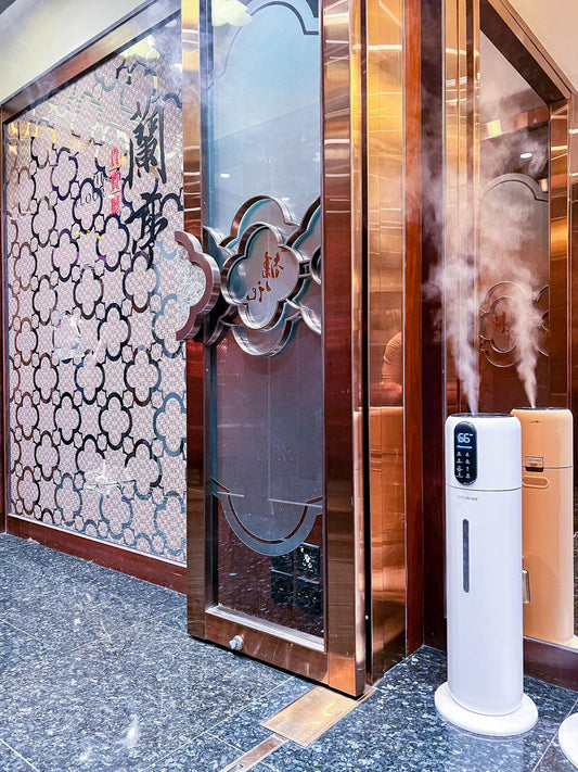 iPlus 超聲波霧化器